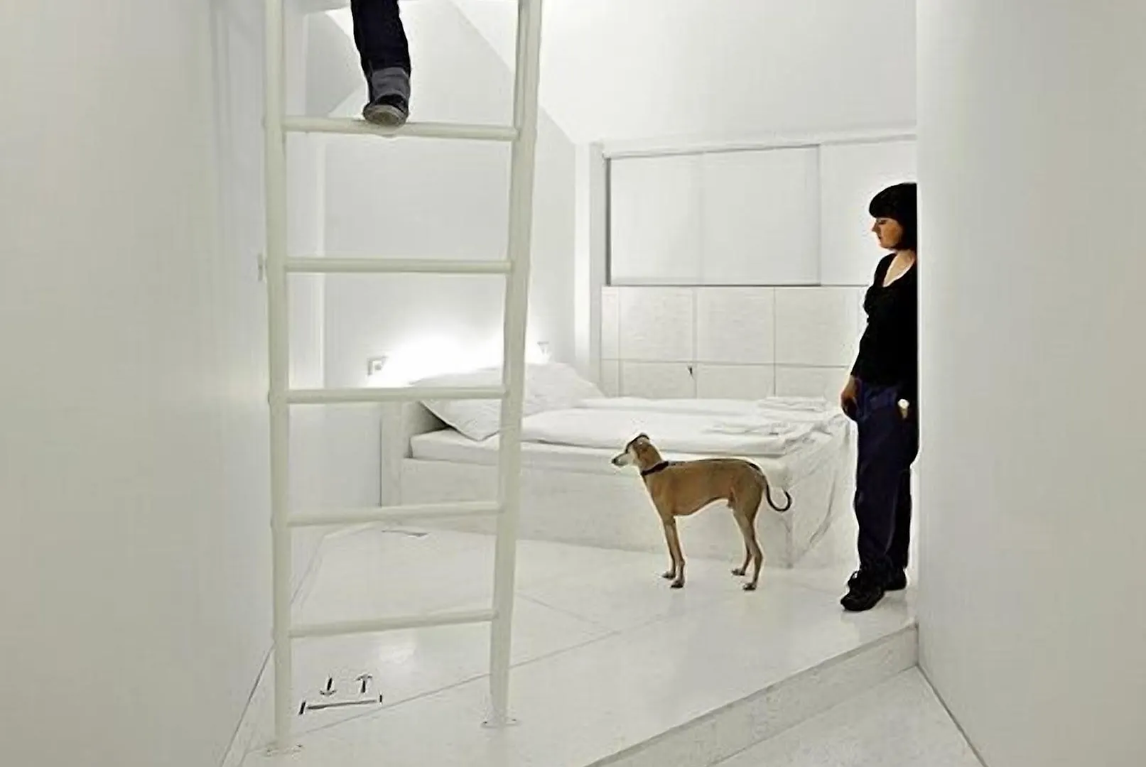 Design Hostel One Split